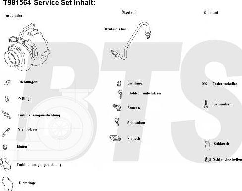 BTS Turbo T981564 - Kompresors, Turbopūte autospares.lv