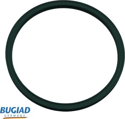 Bugiad 81809 - Blīvgredzens, Gaisa pūtes caurule www.autospares.lv