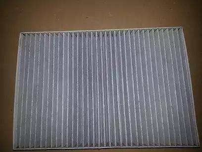 Bugiad BSP20651 - Filter, interior air www.autospares.lv