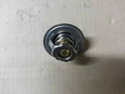 Bugiad BSP20369 - Coolant thermostat / housing www.autospares.lv