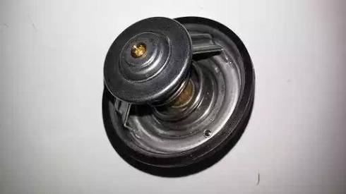 Bugiad BSP21549 - Coolant thermostat / housing www.autospares.lv