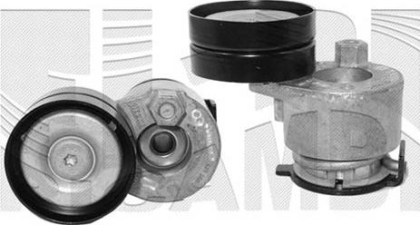 Caliber 10163 - Натяжитель, поликлиновый ремень www.autospares.lv