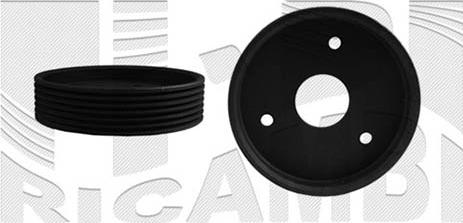 Caliber 87373 - Pulley, power steering pump www.autospares.lv