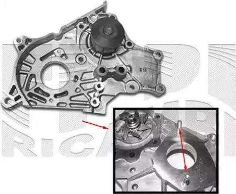 Caliber WPC300 - Ūdenssūknis autospares.lv