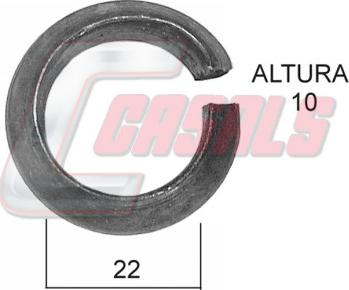 Casals 21163 - Atsperpaplāksne, Disks www.autospares.lv