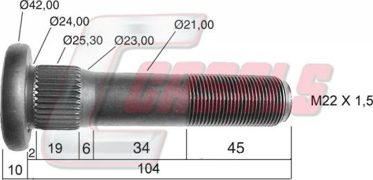 Casals 21130 - Riteņa stiprināšanas skrūve www.autospares.lv