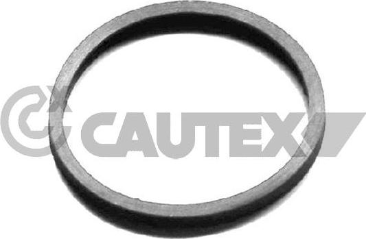 Cautex 954208 - Blīve, Termostats autospares.lv