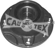 Cautex 461010 - Wheel Hub www.autospares.lv