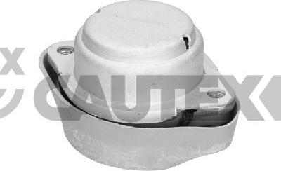 Cautex 461147 - Подвеска, ступенчатая коробка передач www.autospares.lv