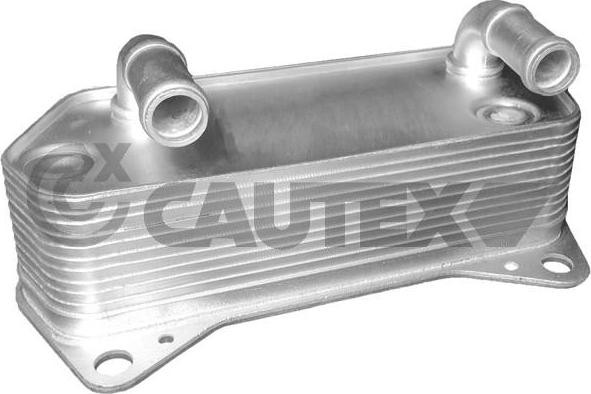 Cautex 462519 - Eļļas radiators, Motoreļļa autospares.lv