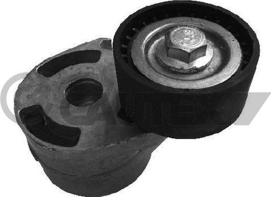 Cautex 031389 - Pulley, v-ribbed belt www.autospares.lv