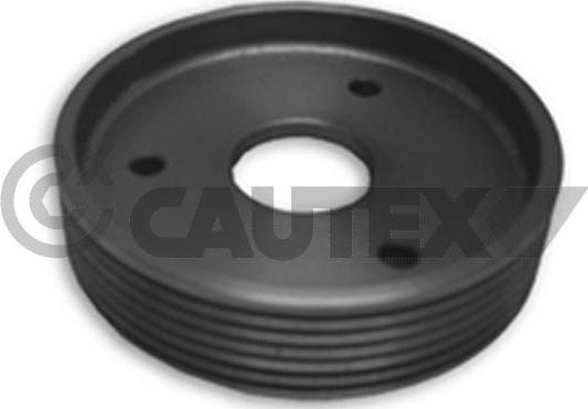 Cautex 020908 - Pulley, power steering pump www.autospares.lv