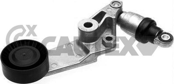 Cautex 759709 - Натяжитель, поликлиновый ремень www.autospares.lv