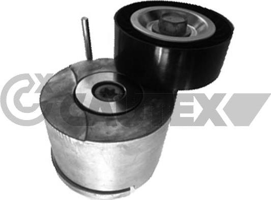 Cautex 756833 - Натяжитель, поликлиновый ремень www.autospares.lv