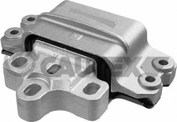 Cautex 756306 - Piekare, Dzinējs www.autospares.lv