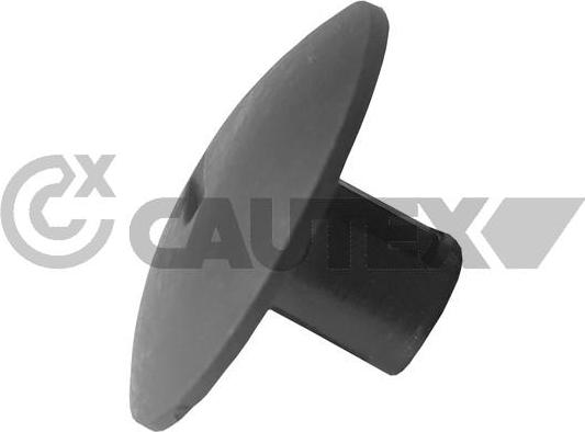 Cautex 751060 - Moldings / aizsarguzlika www.autospares.lv