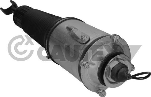 Cautex 752012 - Pneimoatsperes statnis www.autospares.lv