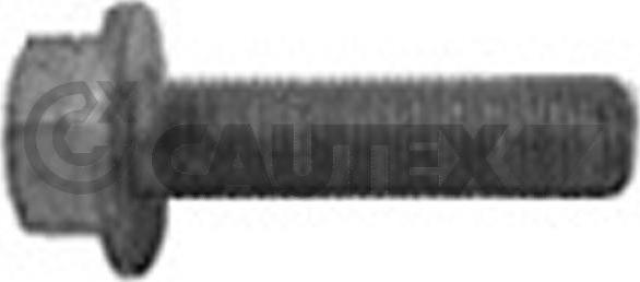 Cautex 757037 - Болт шкива www.autospares.lv