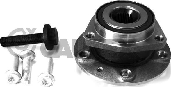 Cautex 764413 - Подшипник ступицы колеса, комплект www.autospares.lv