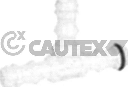 Cautex 767161 - Adapteris, Lukturu apsk. sūknis www.autospares.lv