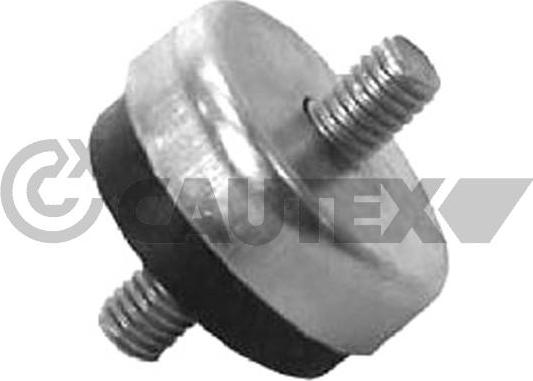 Cautex 767216 - Piekare, Radiators www.autospares.lv