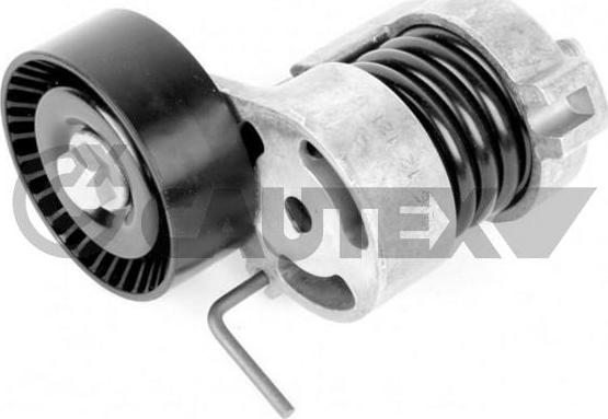 Cautex 770081 - Натяжитель, поликлиновый ремень www.autospares.lv