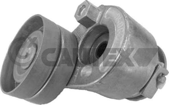 Cautex 770078 - Натяжитель, поликлиновый ремень www.autospares.lv