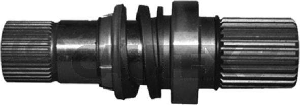 Cautex 770166 - Atlokvārpsta, Diferenciālis www.autospares.lv