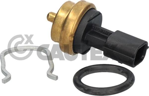 Cautex 770258 - Sensor, coolant temperature www.autospares.lv