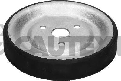 Cautex 771581 - Шкив водяного насоса www.autospares.lv