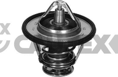 Cautex 772648 - Термостат охлаждающей жидкости / корпус www.autospares.lv