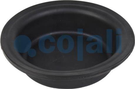 Cojali 6001117 - Membrāna, Atsperes energoakumulatora cilindrs www.autospares.lv