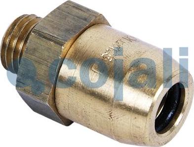 Cojali 6002263 - Remkomplekts www.autospares.lv