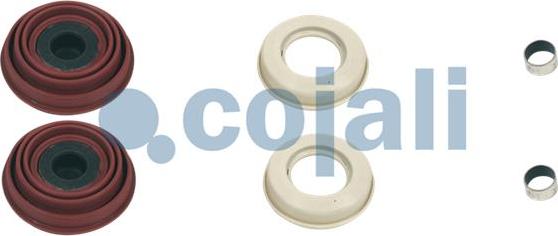 Cojali 6084001 - Repair Kit, brake caliper www.autospares.lv