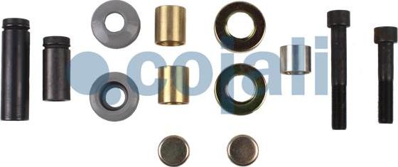 Cojali 6086019 - Repair Kit, brake caliper www.autospares.lv