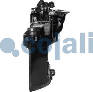 Cojali 359006 - Bremžu suports www.autospares.lv