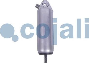 Cojali 2801001 - Darba cilindrs www.autospares.lv