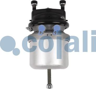 Cojali 2351309 - Energoakumulators www.autospares.lv