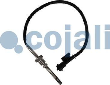 Cojali 2260903 - Devējs, Izplūdes gāzu temperatūra www.autospares.lv