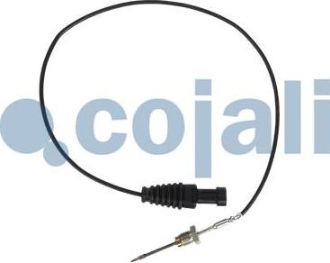 Cojali 2260899 - Devējs, Izplūdes gāzu temperatūra www.autospares.lv