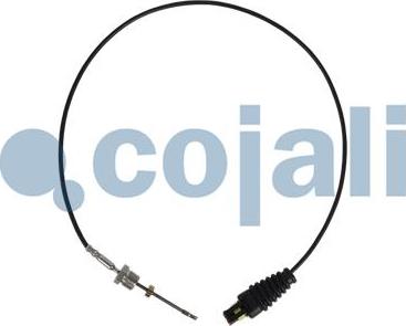 Cojali 2260898 - Devējs, Izplūdes gāzu temperatūra www.autospares.lv