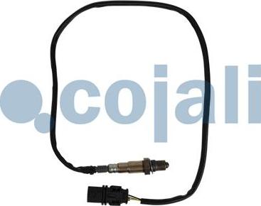 Cojali 2260893 - Devējs www.autospares.lv