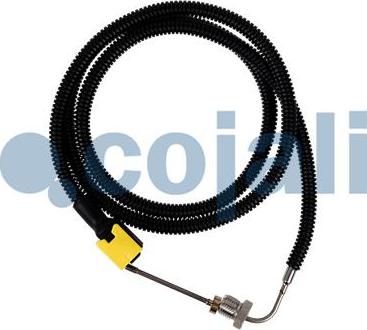 Cojali 2260881 - Sensor, exhaust gas temperature www.autospares.lv