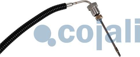 Cojali 2260881 - Sensor, exhaust gas temperature www.autospares.lv