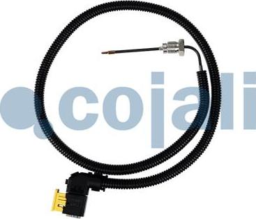 Cojali 2260883 - Sensor, exhaust gas temperature www.autospares.lv