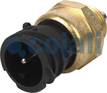 Cojali 2260343 - Slēdzis, Diferenciāļa bloķēšana www.autospares.lv