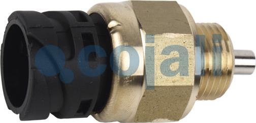 Cojali 2260353 - Slēdzis, Diferenciāļa bloķēšana www.autospares.lv