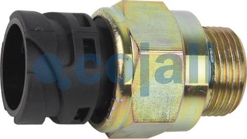 Cojali 2260362 - Slēdzis, Diferenciāļa bloķēšana www.autospares.lv