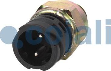 Cojali 2260336 - Switch, differential lock www.autospares.lv