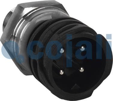 Cojali 2260262 - Sender Unit, oil pressure www.autospares.lv